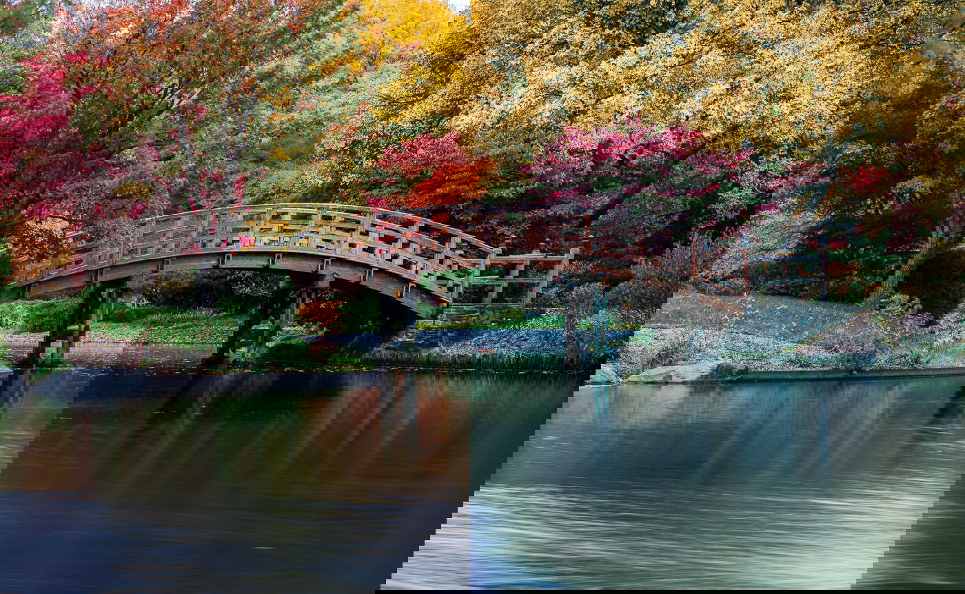 sell lightroom presets